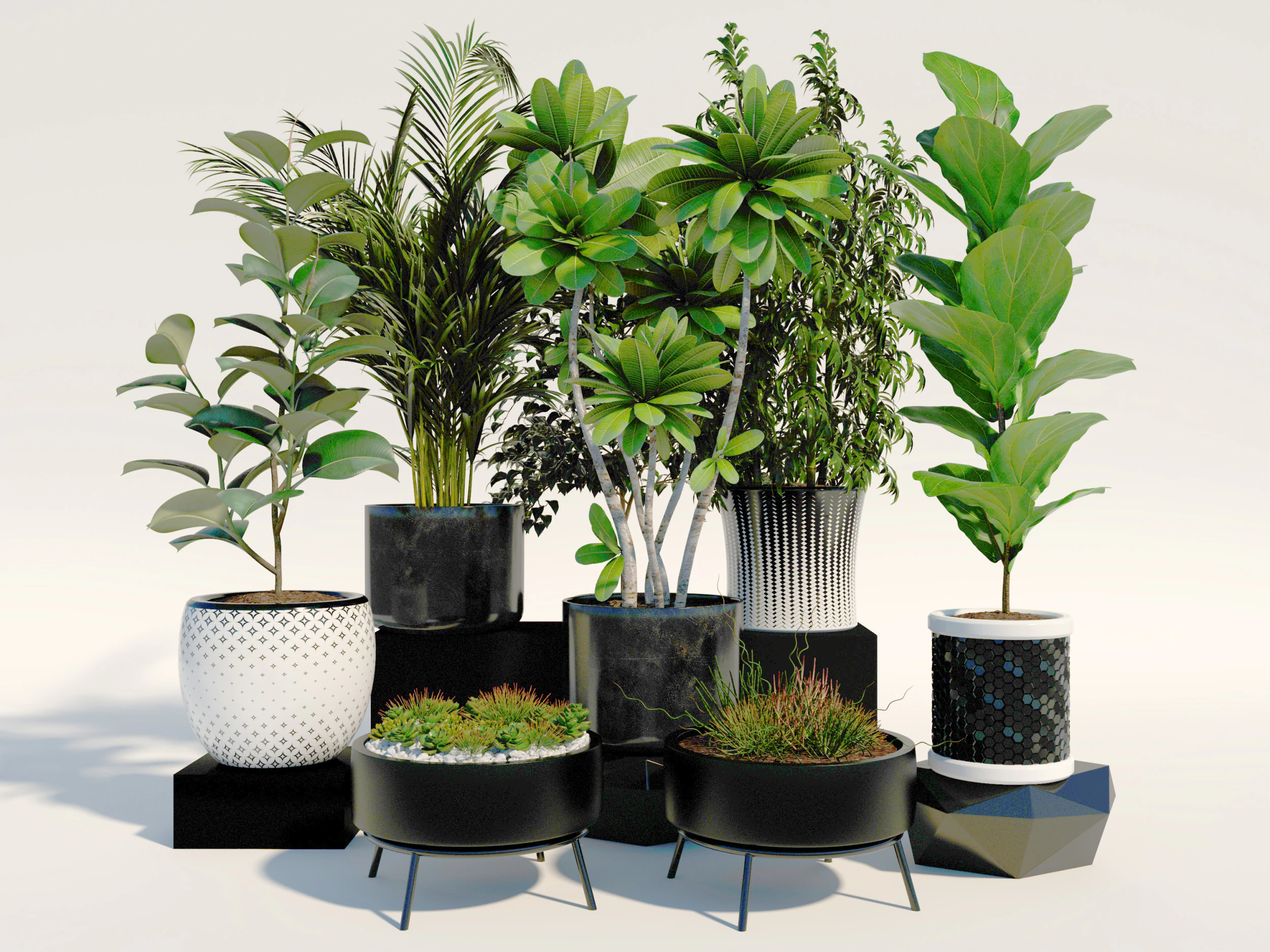 Potted plants 10 3D Model .c4d .max .obj .3ds .fbx .stl .blend 