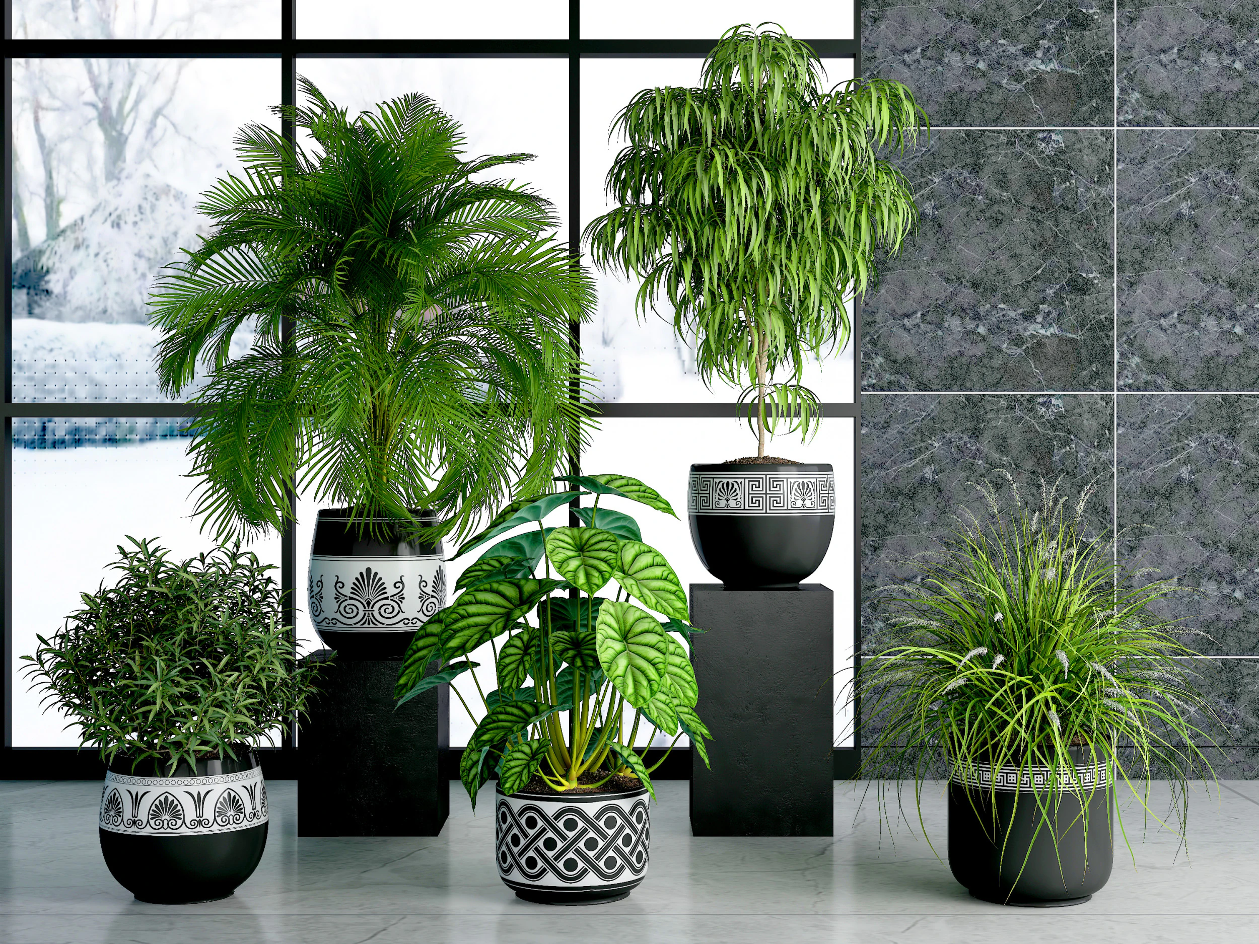 Potted plants 12 3D Model .c4d .max .obj .3ds .fbx .stl .blend 