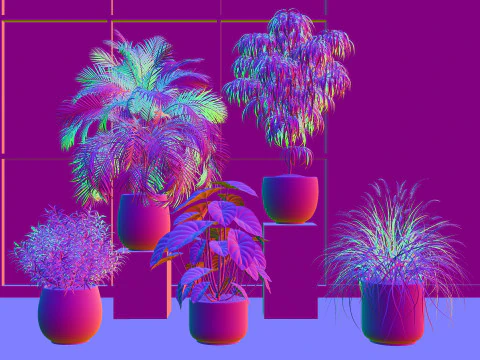 Potted plants 12 3D Model