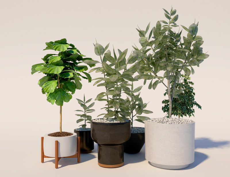盆栽植物13 3D 模型 .c4d .max .obj .3ds .fbx .stl .blend 