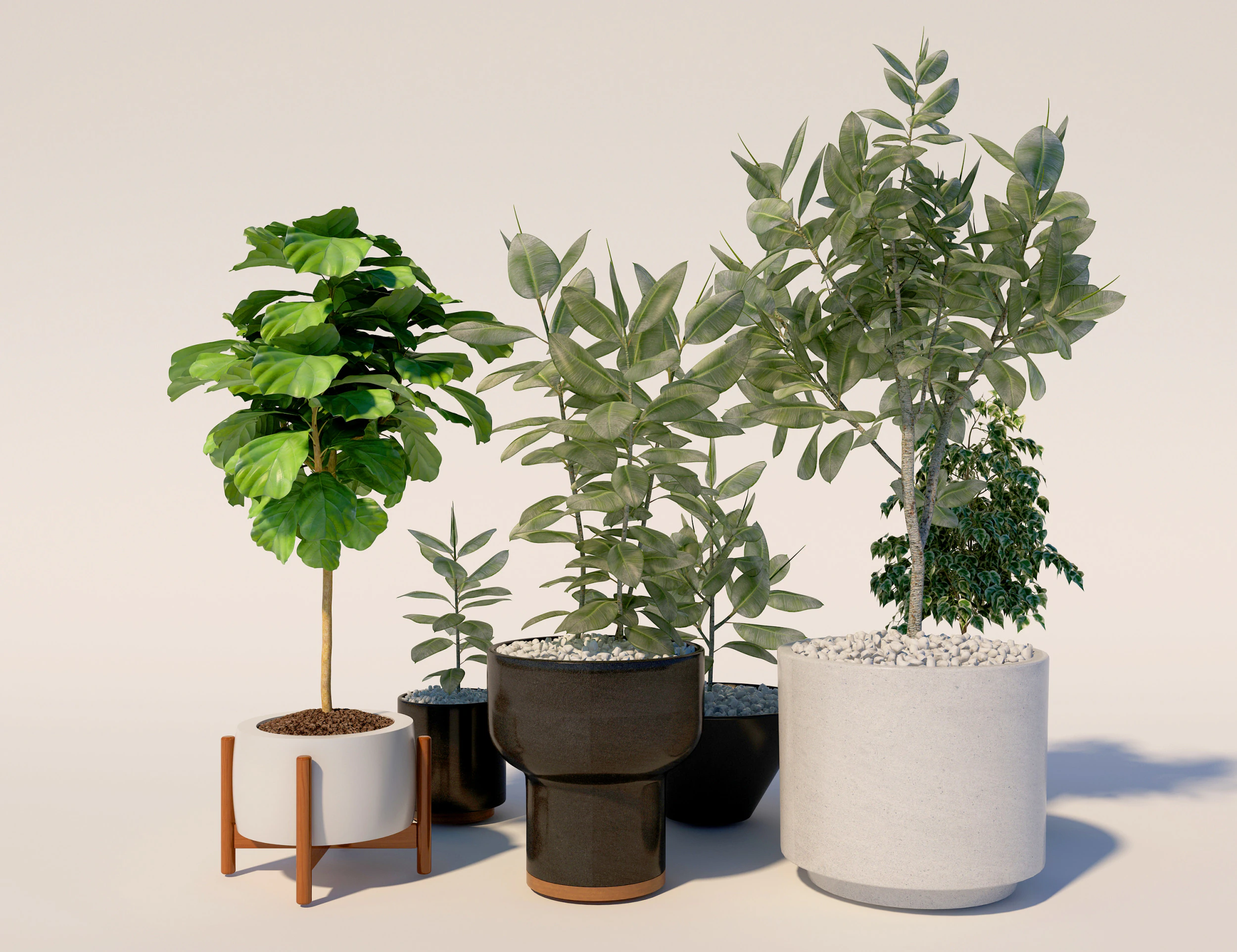 Potted plants 13 3D Model .c4d .max .obj .3ds .fbx .stl .blend 