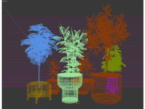 Potted plants 13 3D Model