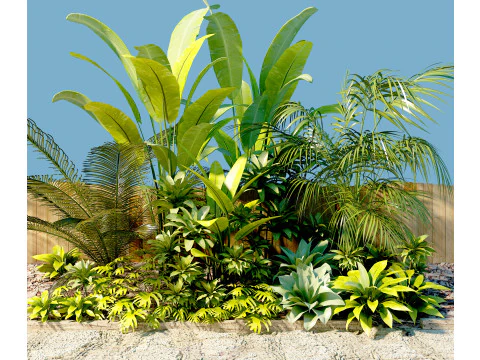 Potted plants 16 3D Model