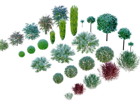Plantes en pot 25 Modèle 3D