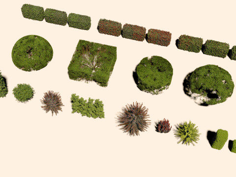 Горшечные растения 27 3D Модель