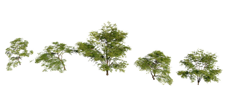 Rośliny doniczkowe 29 Model 3D .c4d .max .obj .3ds .fbx .stl .blend 