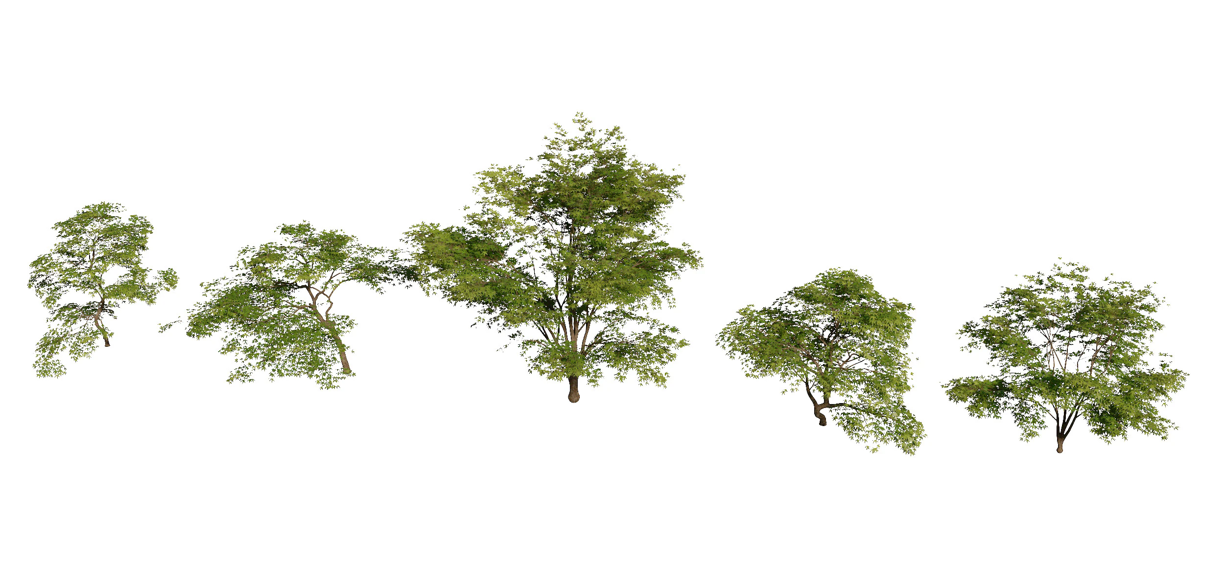 Potted plants 29 3D Model .c4d .max .obj .3ds .fbx .stl .blend 