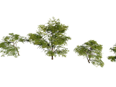 Vasos de plantas 29 Modelo 3D