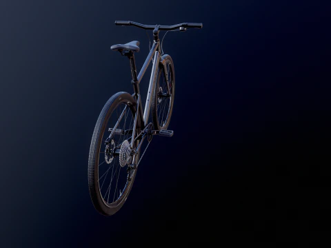 Generic Fitness Road Bicycle 3D Model