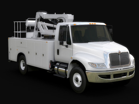 ड्यूरास्टार चेरी पिकर 3D मॉडल