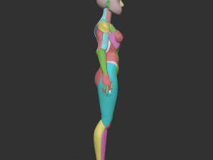 Female Blockout 3D Model