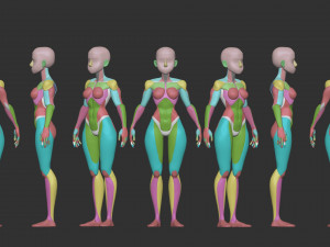 Female Blockout 3D Модель