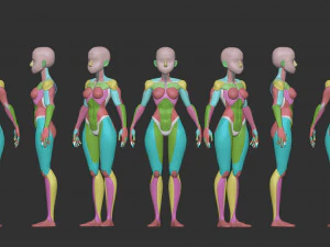 Female Blockout 3D Model