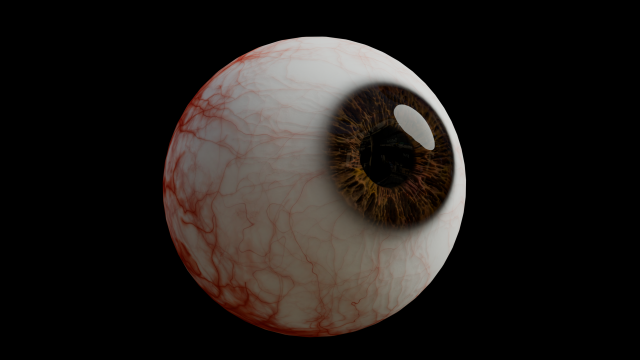 Realistic Human Eye Modelo 3D .c4d .max .obj .3ds .fbx .stl .blend 