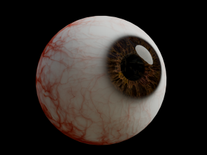 Realistic Human Eye 3D Модель