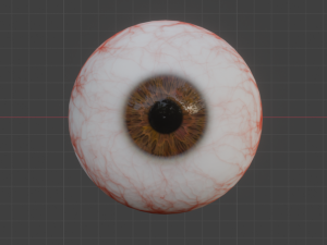 Realistic Human Eye Modelo 3D