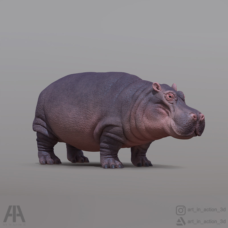 Hippopotamus 3D Принт Модель .c4d .max .obj .3ds .fbx .stl .blend 