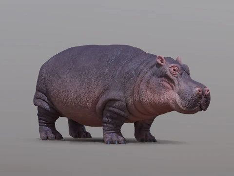 Бегемот 3D Принт Модель