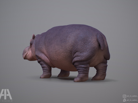 Hippopotamus 3D Принт Модель