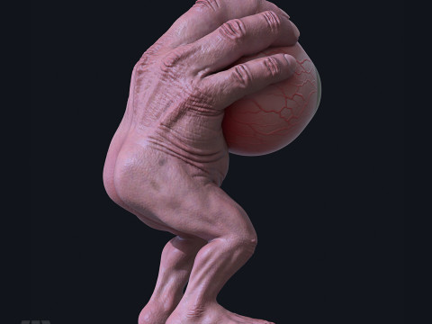 MR EYE 3D-Druckmodell