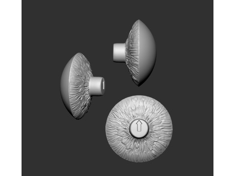 MR EYE 3D-Druckmodell