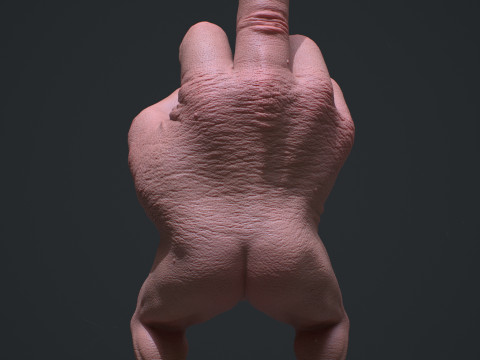 Mr Finger Fuckyou 3D Print Model