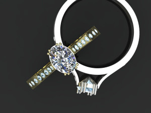 SP Ring 3D मॉडल