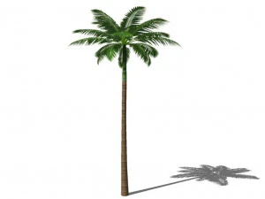 Unduh gratis format pohon palem dae Model 3D