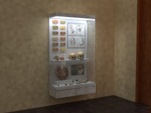 Museum display cabinets 3Dモデル