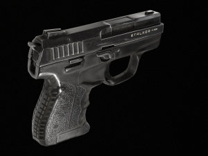 Stalker Pistol Modèle 3D