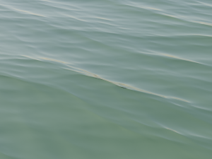 Water 3D Model