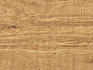 Multi Functional Table Lamp Light 3D Print Model