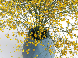 Flowers bouquet Modello 3D
