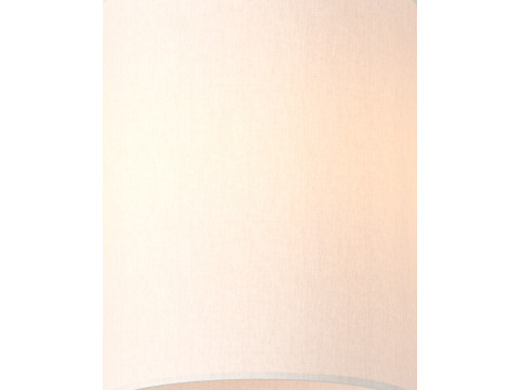 CY Flush Mount 3D 模型