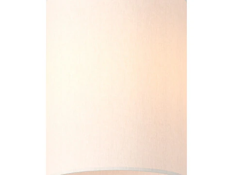 CY Flush Mount 3D Model