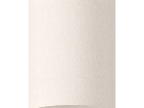 CY Flush Mount 3D Model