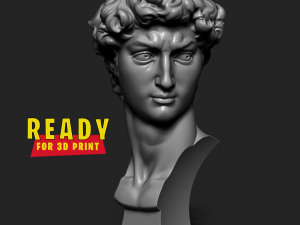 DAVID VASE STATUE 3D प्रिंट मॉडल