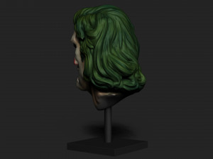 JOKER SKULL - JOAQUIN PHOENIX 3D Print Model