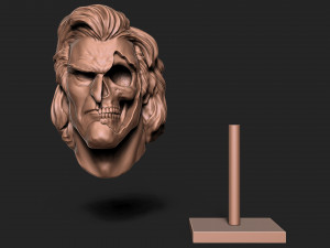 JOKER SKULL - JOAQUIN PHOENIX 3D Print Model