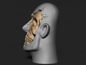 EASTER ISLAND HEAD 3D Print Model