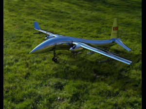 スングルハ 3Dモデル