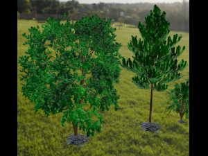 Trees Modèle 3D