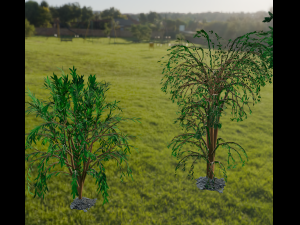 Trees 3D Model