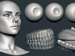Female elf head basemesh 3D Model