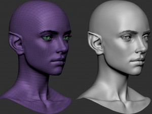 Female elf head basemesh 3D-Modell