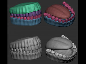 Female elf head basemesh 3D-Modell