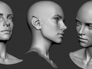 Female elf head basemesh 3D-Modell