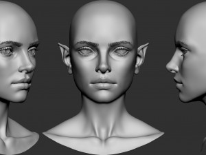 Female elf head basemesh 3D-Modell
