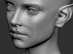 Female elf head basemesh 3D Model