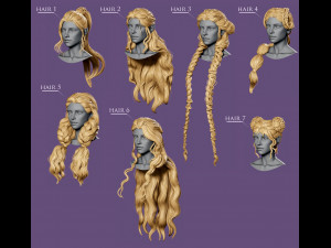 7 Fantasy female hairstyles 3D 模型